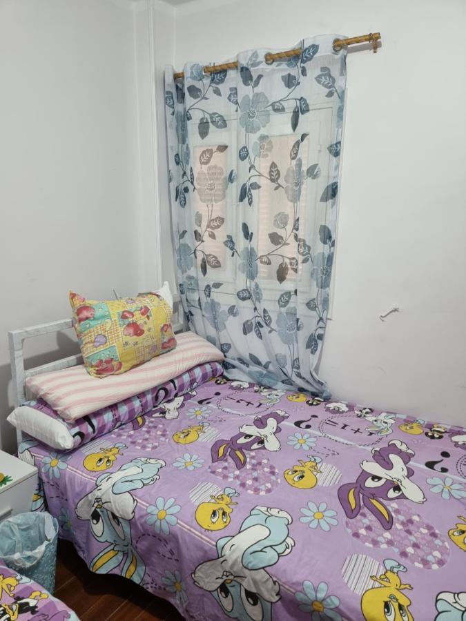 "Sara Accommodation Room "No Egyptians "Dormitory Room 开罗 外观 照片